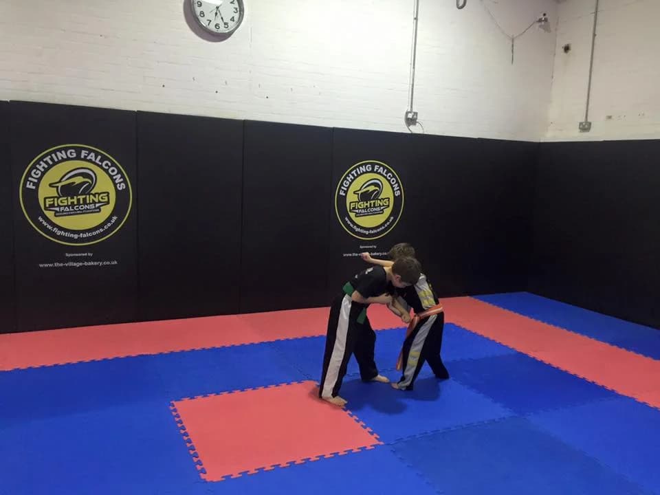 Fighting Falcons wall pads1