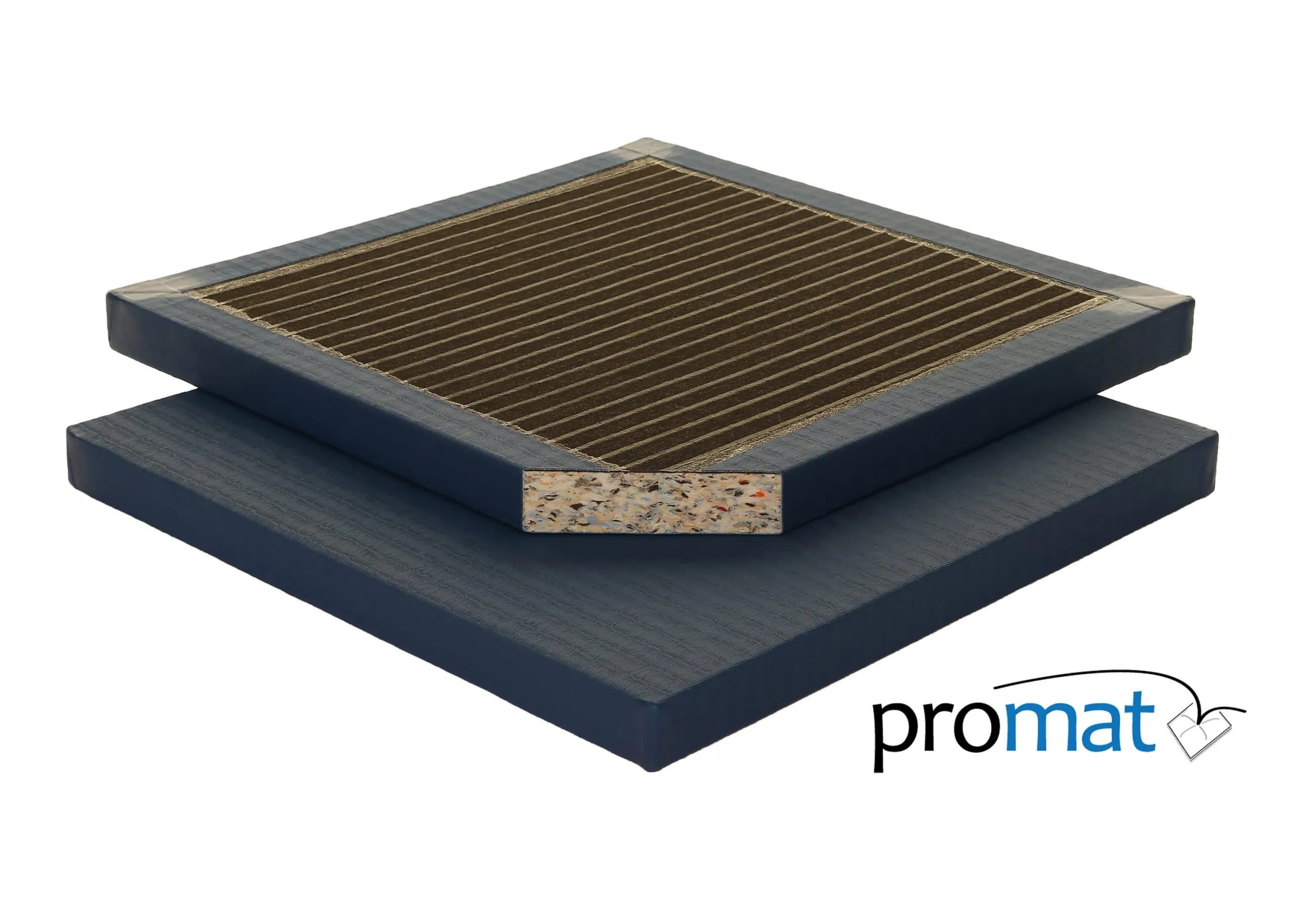 Blue Judo Mats